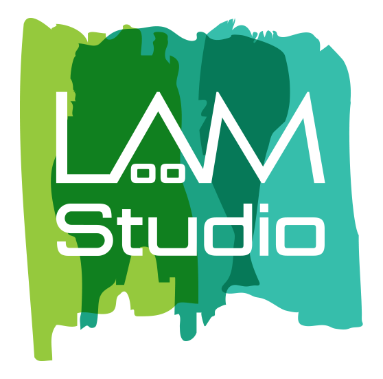 LAM Studio